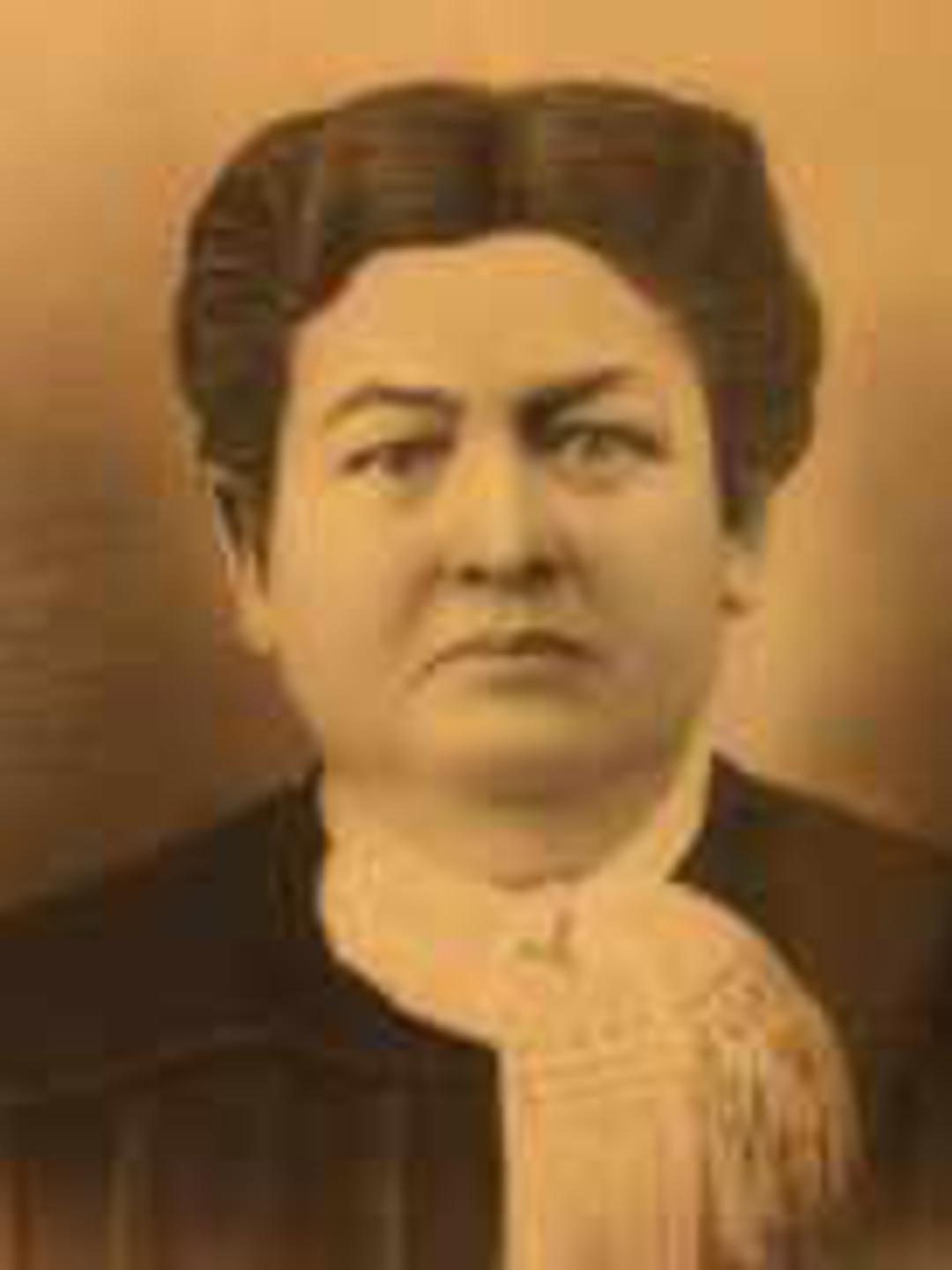 Elizabeth Ann Norton (1847 - 1900) Profile
